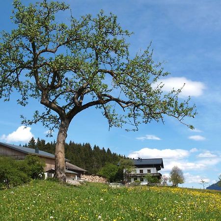 Villa Unterhofgut Goldegg Exterior foto