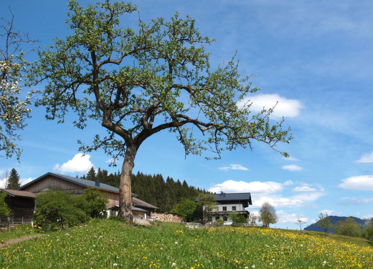 Villa Unterhofgut Goldegg Exterior foto