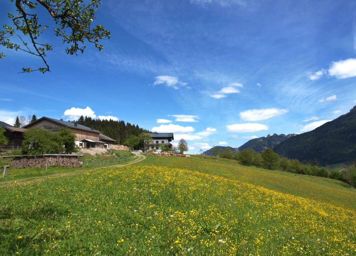 Villa Unterhofgut Goldegg Exterior foto